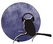 Click here to listen to Night Owl Radio